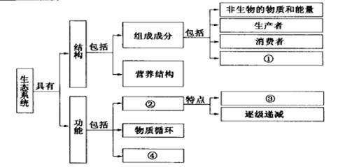 请完成下面生态系统结构和功能的概念图