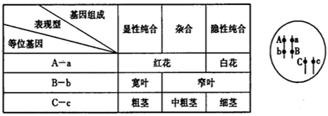 某二倍体高等植物有多对较为明显的相对性状基因控制情况见下表现有一