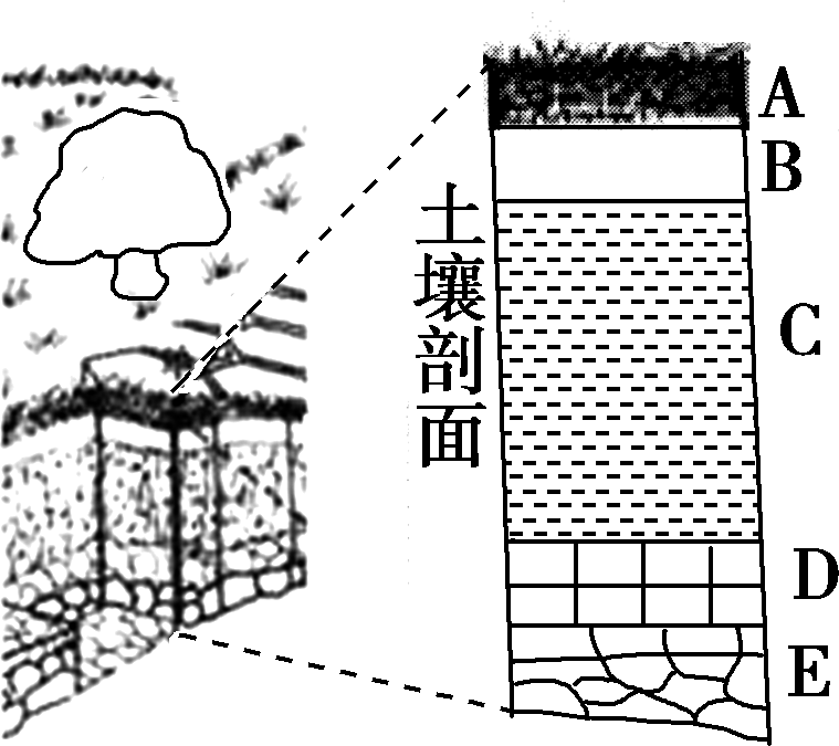 材料 土层分层示意图.