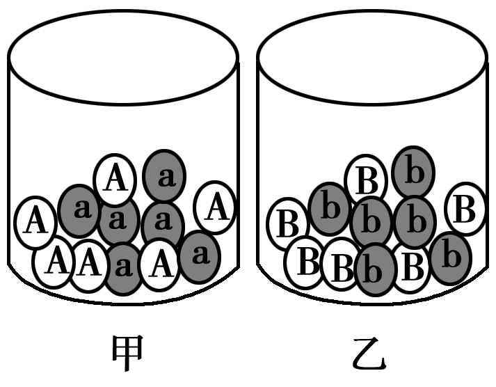 某同学利用性状分离比的模拟实验装置,进行如下实验,从甲,乙两个容器