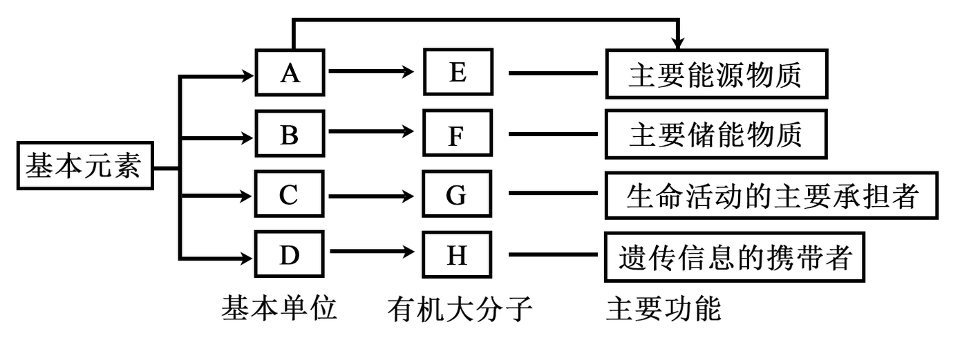 如图是生物体内四种有机物的组成与功能关系图,请据图回答