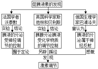 科学家沃泰默,斯塔林和贝里斯等对促胰液素的发现有突出的贡献,后来