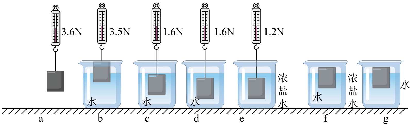 物理兴趣小组在进行"探究浮力的大小与哪些因素有关"实验中,用弹簧测
