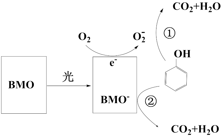 是一种高效光催化剂,可用于光催化降解苯酚,原理如图所示.