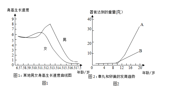 人的生殖和发育 青春期身体变化的特点【推荐1】下图分别为某地男女生