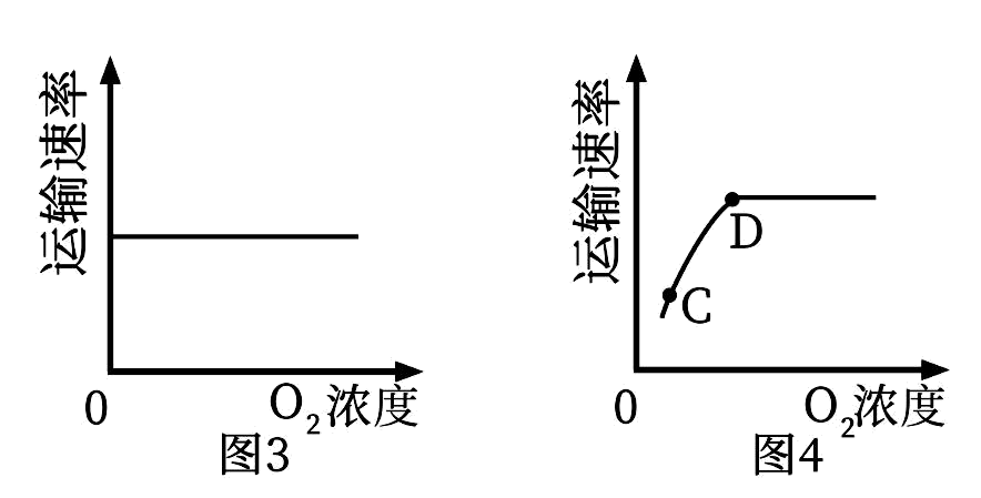 或氧气浓度与物质跨膜运输速率间关系的曲线图下列相关叙述不正确的是