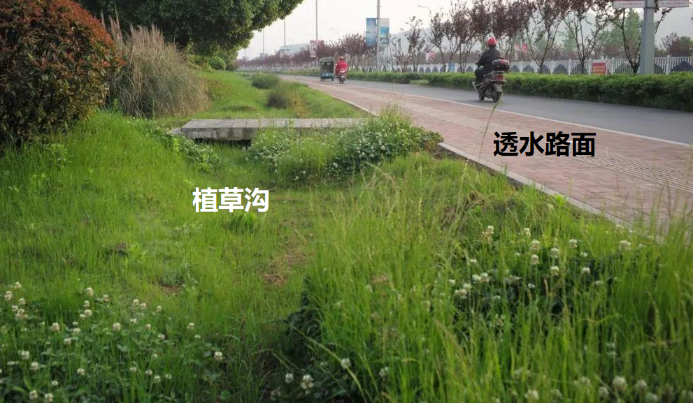 扩大城市绿化面积【小题2】与城市