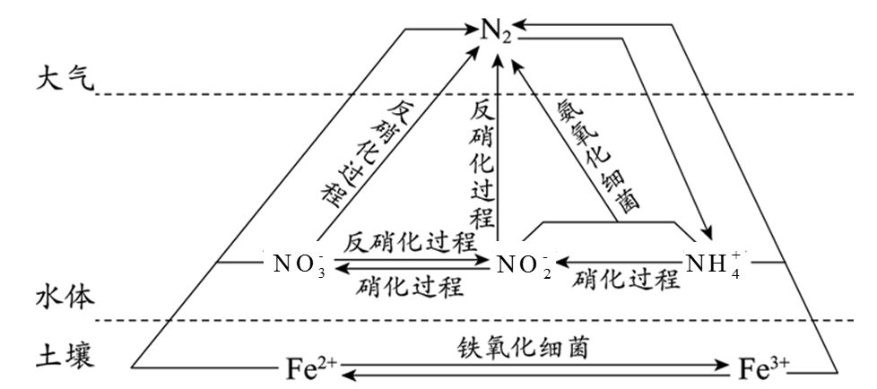 【推荐3】氮,铁元素在细菌的作用下可发生如图所示的转化.