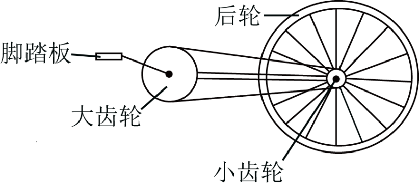 如图是自行车传动结构的示意图,其中大齿轮,小齿轮和后轮的半径分别为
