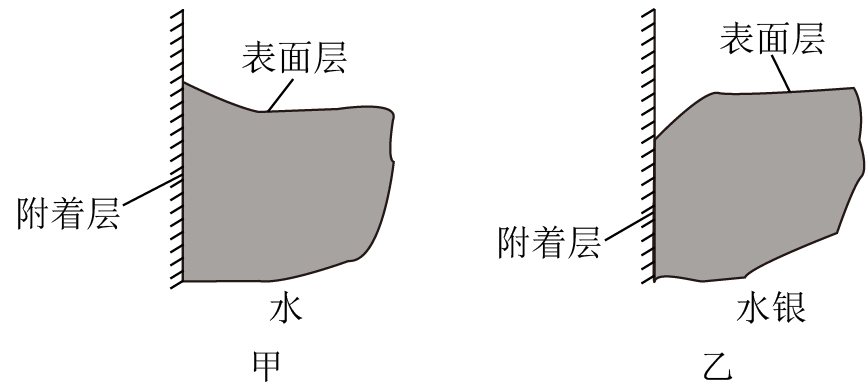 液体的浸润和不浸润现象取决于液体分子和与之接触的固体分子之间的