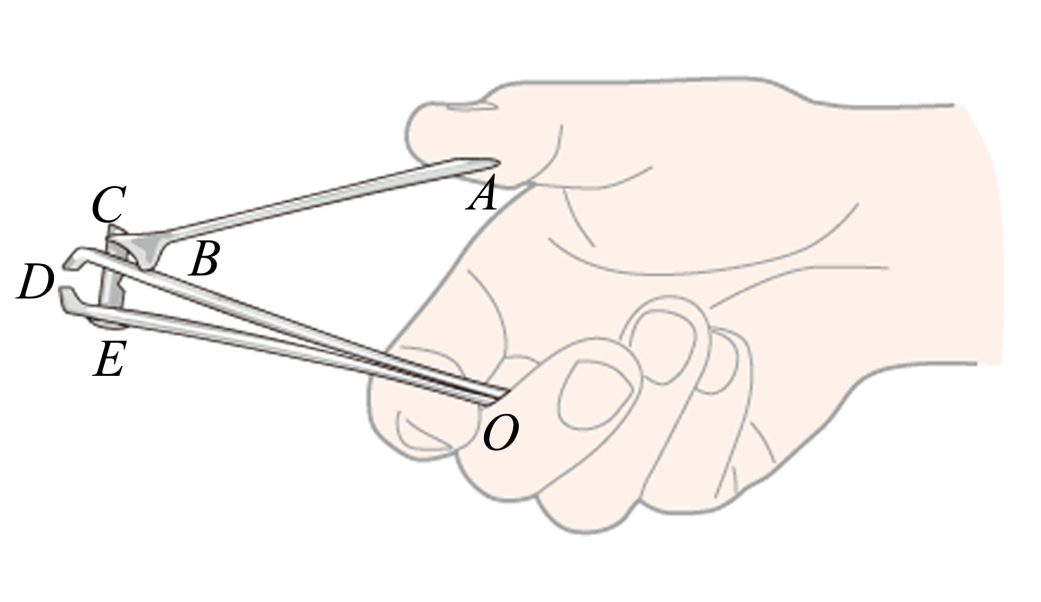 指甲刀从结构上来看只有一个杠杆c.上压板abc上的花纹为减小摩擦力d.