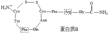 蛋白质的结构简式各氨基酸残基氨基酸脱水缩合后剩余的部分用3个字母