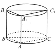 如图,四边形是圆柱的轴截面,是圆柱的一条母线,已知,ac=4.