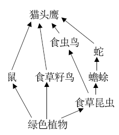 如图是某温带草原生态系统的食物网请据图分析回答下列问题