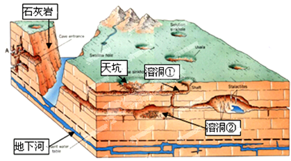 读喀斯特地貌示意图,其中天坑是一种分布在喀斯特地区的特殊的地质
