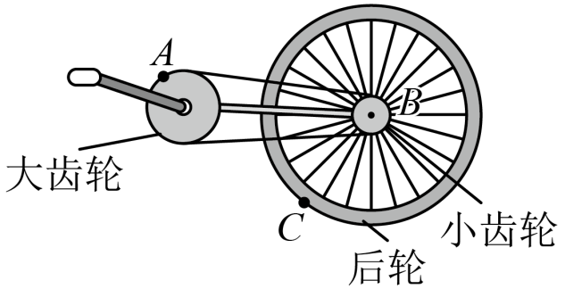 如图所示,自行车的大齿轮,小齿轮,后轮三个轮子的半径不一样,它们的