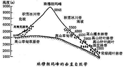 珠穆朗玛峰垂直自然带图片