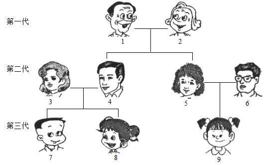 如圖是某家庭成員的關係圖譜該家庭成員用阿拉伯數字表示請分析下圖