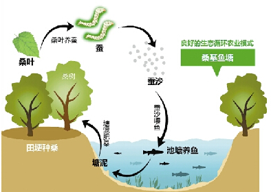 基塘农业简易图图片