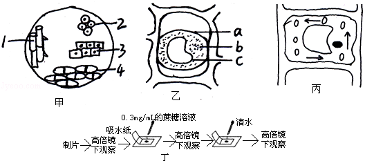 2015-2016學年江西省撫州市金溪一中高一上第二次月考生物試卷