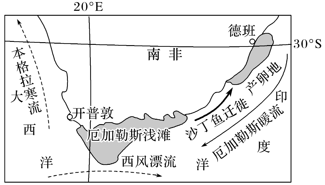 厄加勒斯海域图片