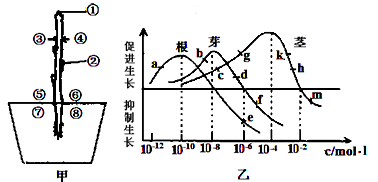 植物生长曲线图怎么画图片