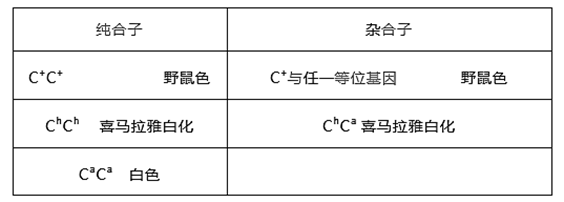 兔子的毛色是由一組復等位基因控制的純合子和雜合子的表現型如表2