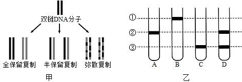 為探究dna的複製方式究竟是全保留複製半保留複製還是彌散複製圖甲