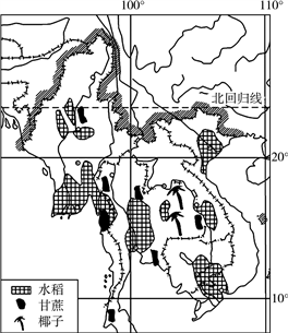 垄沟相间,纵列分布图片