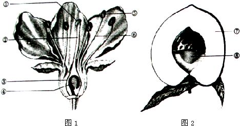 下圖是花的結構模式圖據圖回答