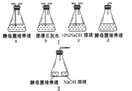 酵母的读音图片