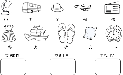 分类与整理简笔画图片