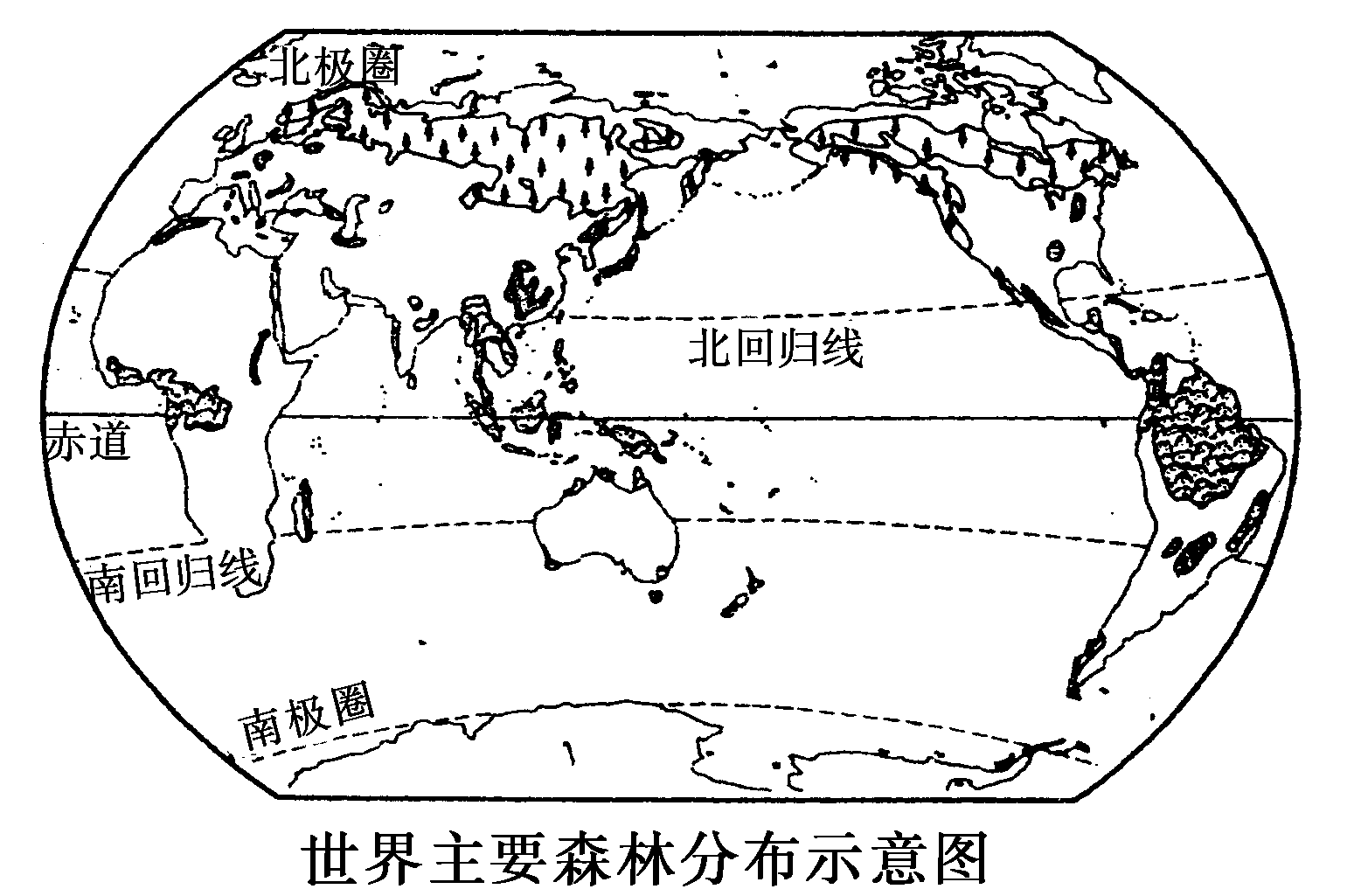 亚寒带针叶林分布图图片