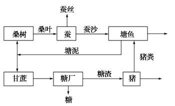 如图为我国某农场的桑基鱼塘生态农业模式图请据此图回答以下问题