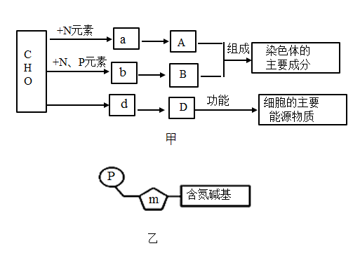 玉米自交系b73图片