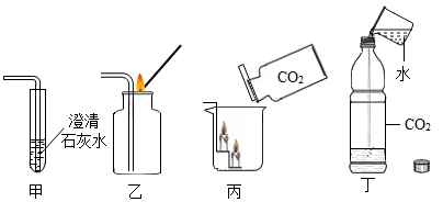 二氧化碳与水反应实验图片
