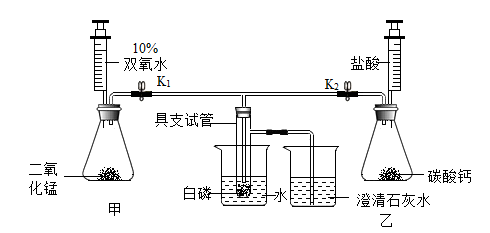 化学兴趣小组利用下列装置进行了"可燃物燃烧的条件"的探究实验