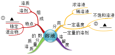 在複習過程中通過繪製思維導圖將知識形成一個彼此聯繫的知識網絡,有