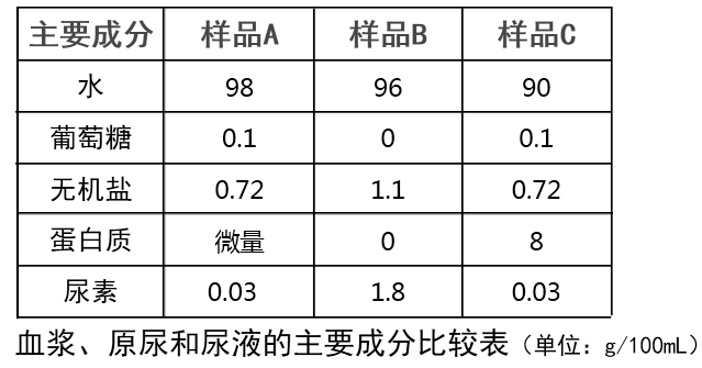 下面的表格为一个健康人血浆,原尿和尿液三种样品的主要成分比较表