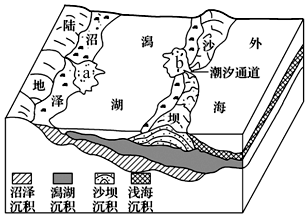 海岸地貌和陆架沉积序列的演化能较客观地反映海平面的升降状况.