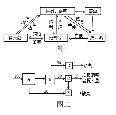 如下圖一:(1)流入該生態系統的總能量是________,從生態系統組成成分