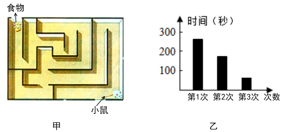 某学习小组进行了小鼠走迷宫获取食物的实验如图中的甲为迷宫示意图乙