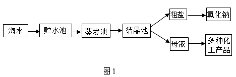 下面是从海水中提取氯化钠的大致过程(如图1)和氯化钠,氯化钙的溶解度