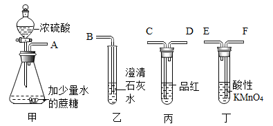 化學老師演示了一個黑麵包實驗往燒杯中倒入蔗糖和少量水再注入一定量