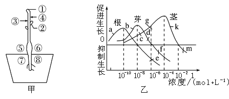 植物生长曲线图怎么画图片