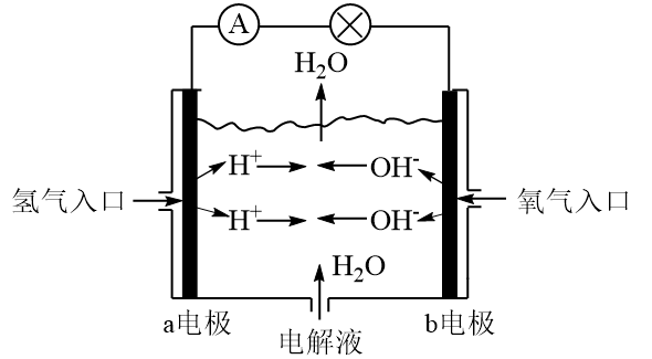 (1)图为氢氧燃料电池原理示意图,按照此图的提示,回答以下问题