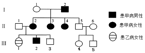 分析如圖所示的家族遺傳系譜圖,已知其中一種為伴性遺傳,通過基因檢測