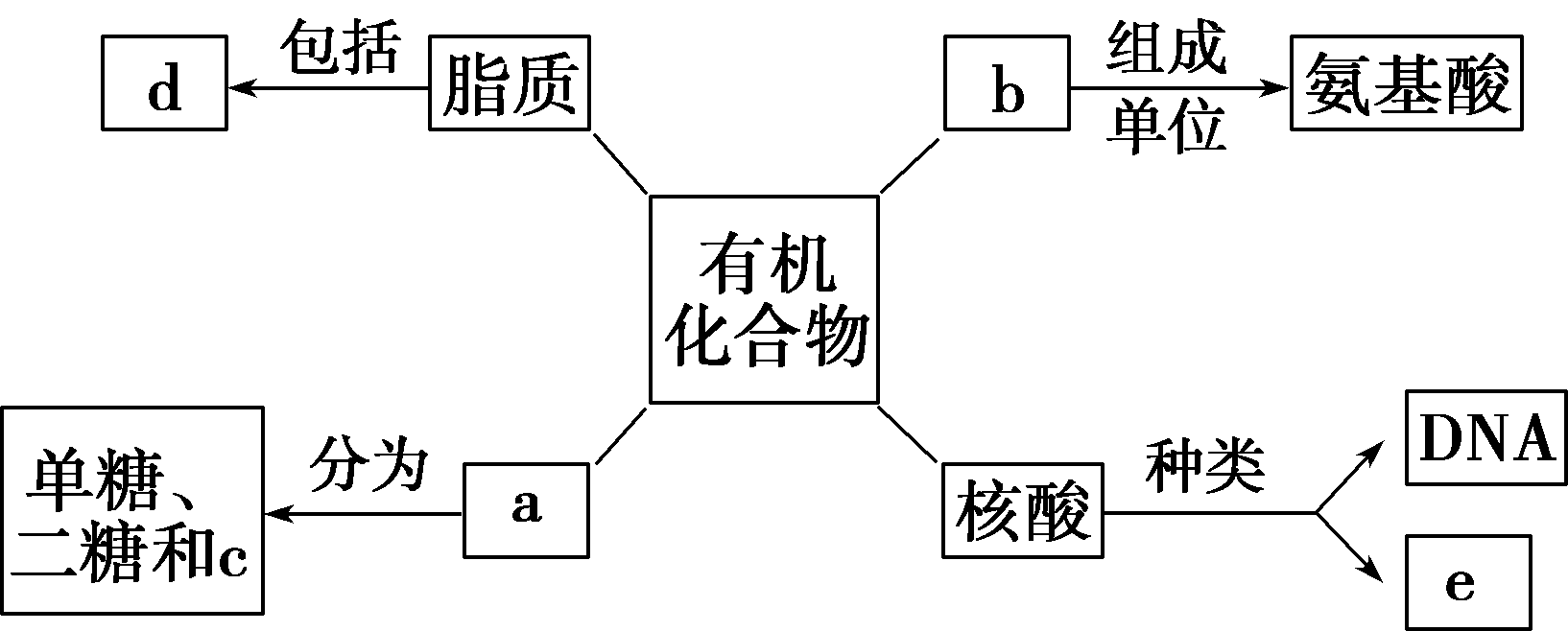 下面是生物體細胞內部分有機化合物的概念圖,請回答下列問題:(1)小麥