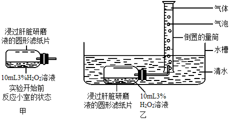 下图为探究ph对过氧化氢酶活性的影响的实验装置下列叙述错误的是