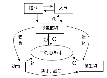 20  水循环